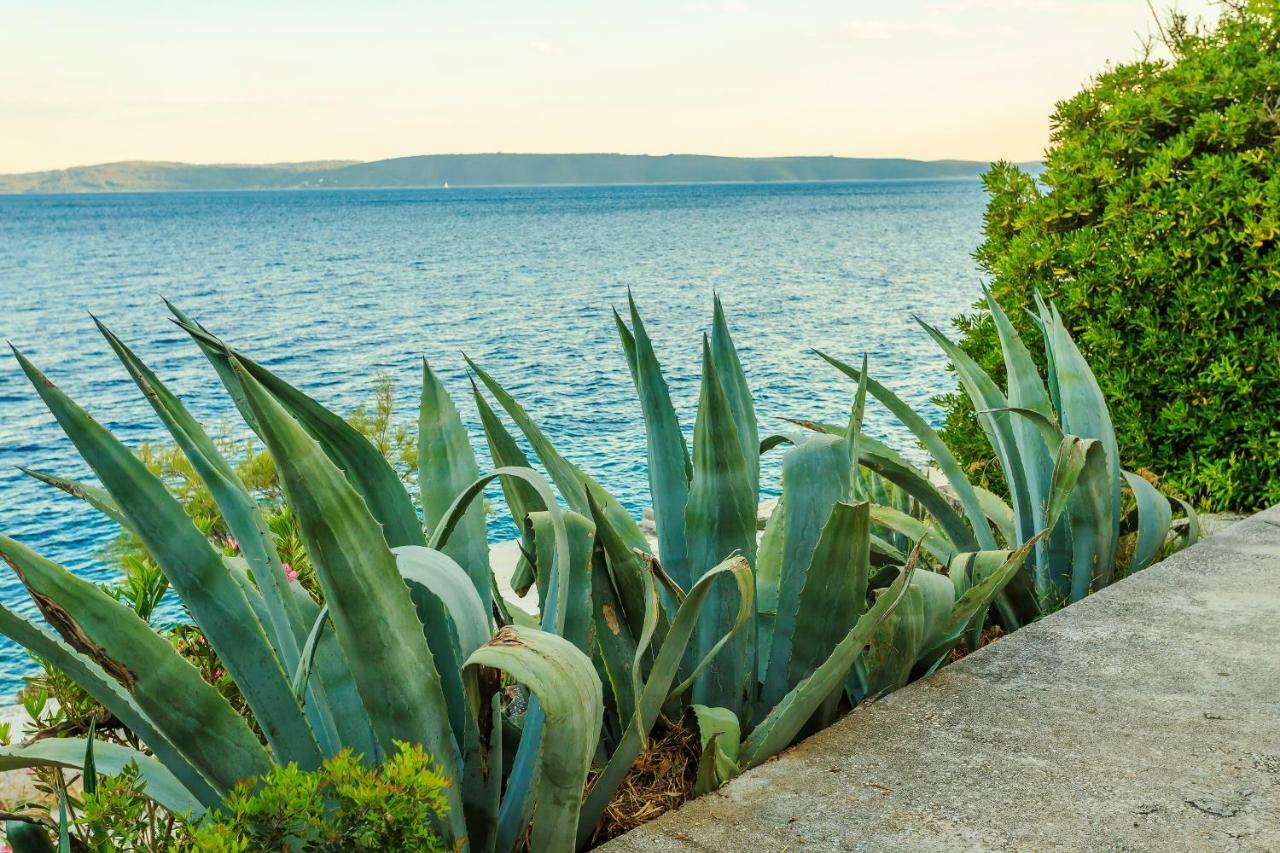 Holiday Home Lola, Sea On A Palm! Heated Pool トロギール エクステリア 写真